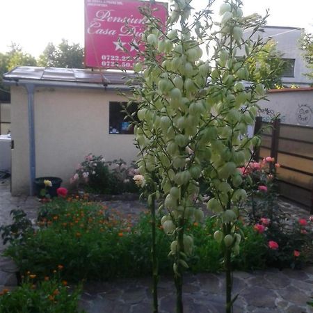 Pensiunea Casa Didina Bacău Eksteriør bilde
