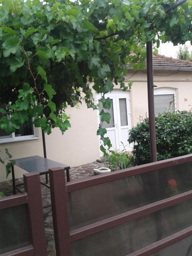 Pensiunea Casa Didina Bacău Eksteriør bilde