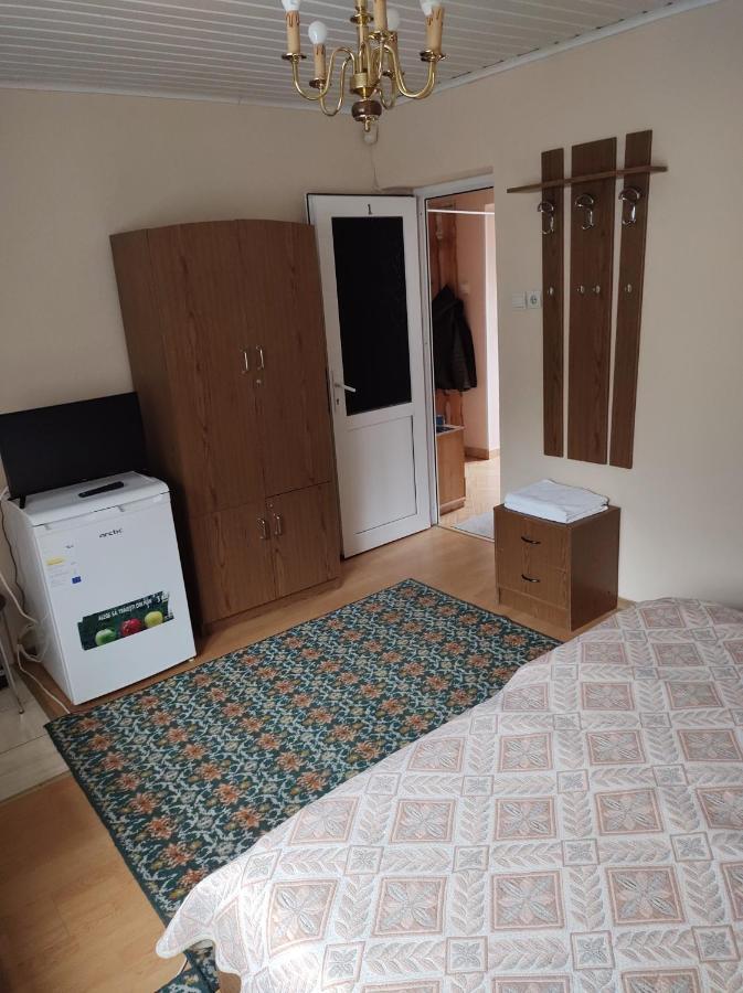 Pensiunea Casa Didina Bacău Eksteriør bilde